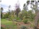 258 Cons Lane, Parkes NSW 2870