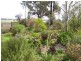 258 Cons Lane, Parkes NSW 2870