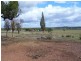 258 Cons Lane, Parkes NSW 2870