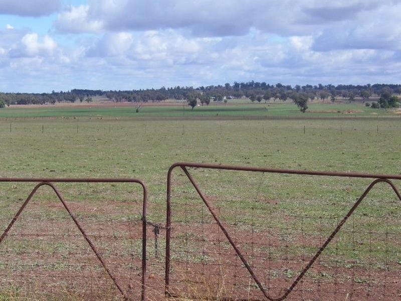 258 Cons Lane, Parkes NSW 2870