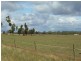 258 Cons Lane, Parkes NSW 2870