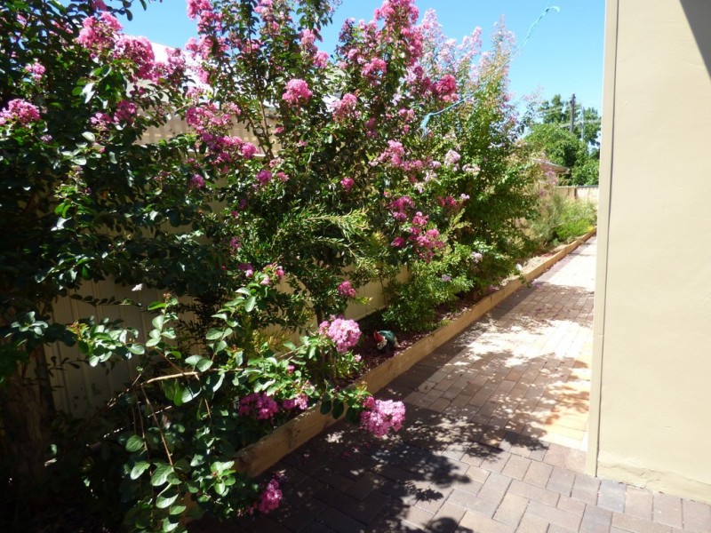 43 Farrand Street, Forbes NSW 2871