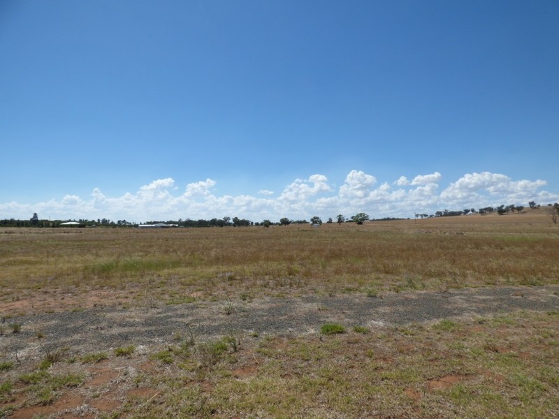 4 Alcheringa Drive, Forbes NSW 2871