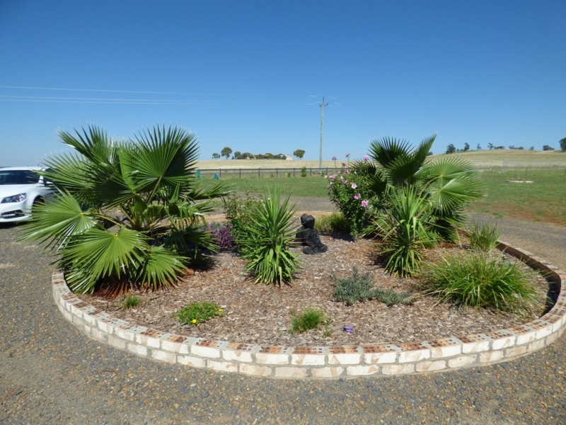 4 Alcheringa Drive, Forbes NSW 2871