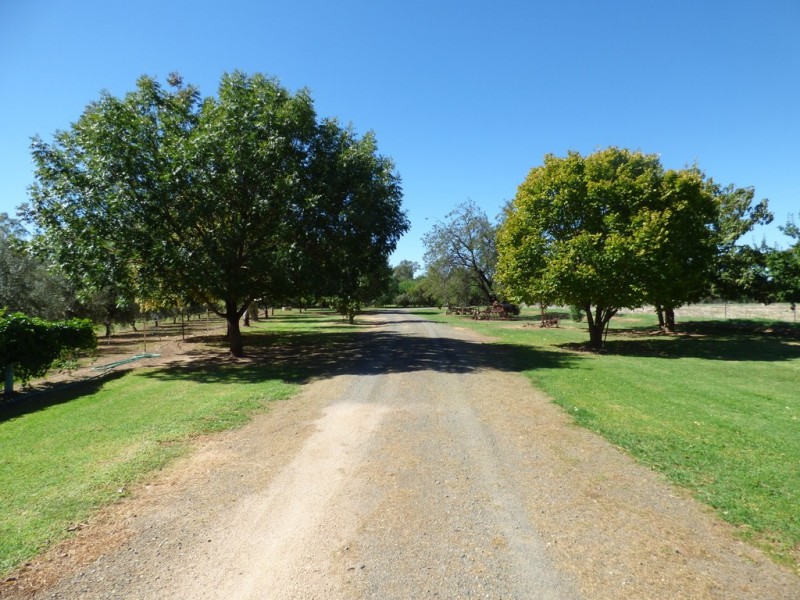 14 Riverview Lane, Forbes NSW 2871