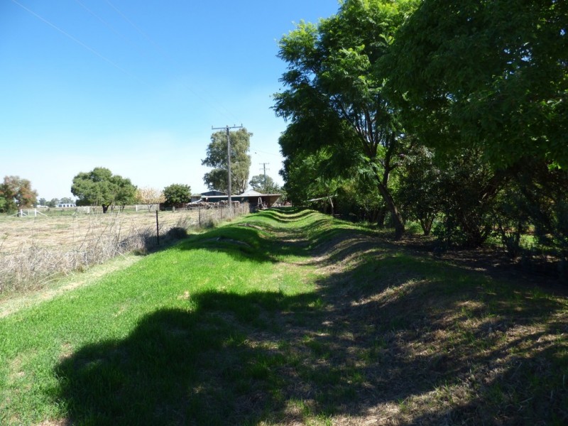 14 Riverview Lane, Forbes NSW 2871