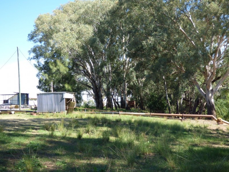 14 Riverview Lane, Forbes NSW 2871