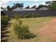 23 Melrose St, Condobolin NSW 2877