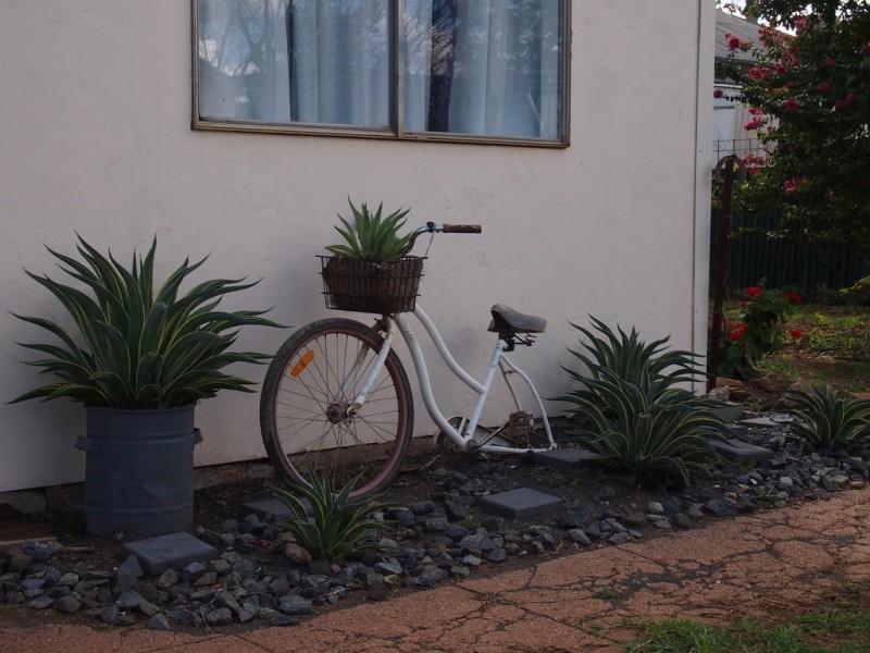 23 Melrose St, Condobolin NSW 2877