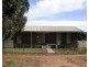 16 Leiferman Street, Condobolin NSW 2877