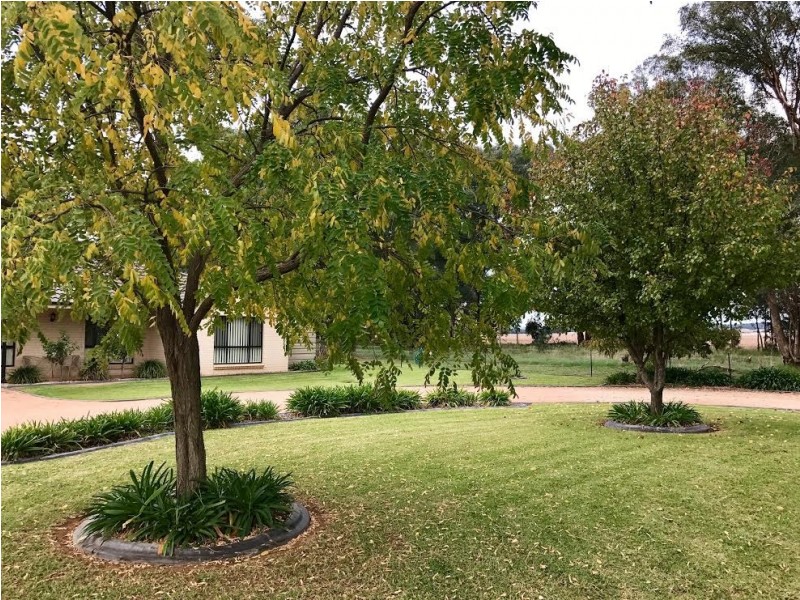 1 Light Horse Place, Parkes NSW 2870