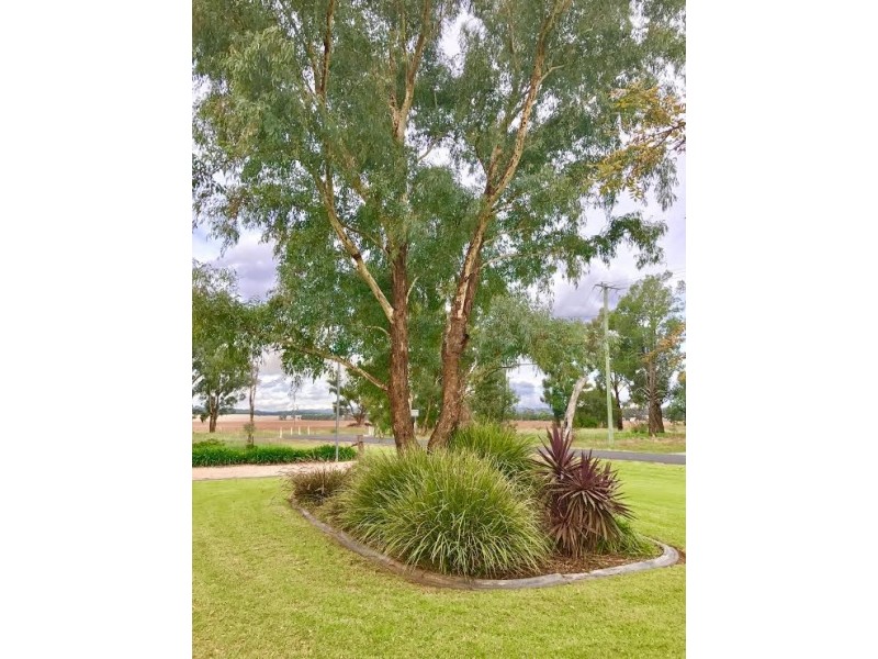 1 Light Horse Place, Parkes NSW 2870