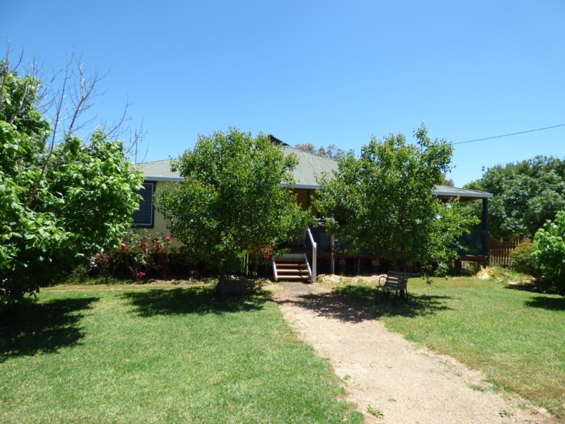 296 South Lead Road, Forbes NSW 2871