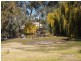 10 Rogers Street, Condobolin NSW 2877