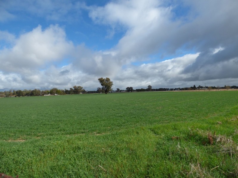 Corner River Road and Wambat Street, Forbes NSW 2871