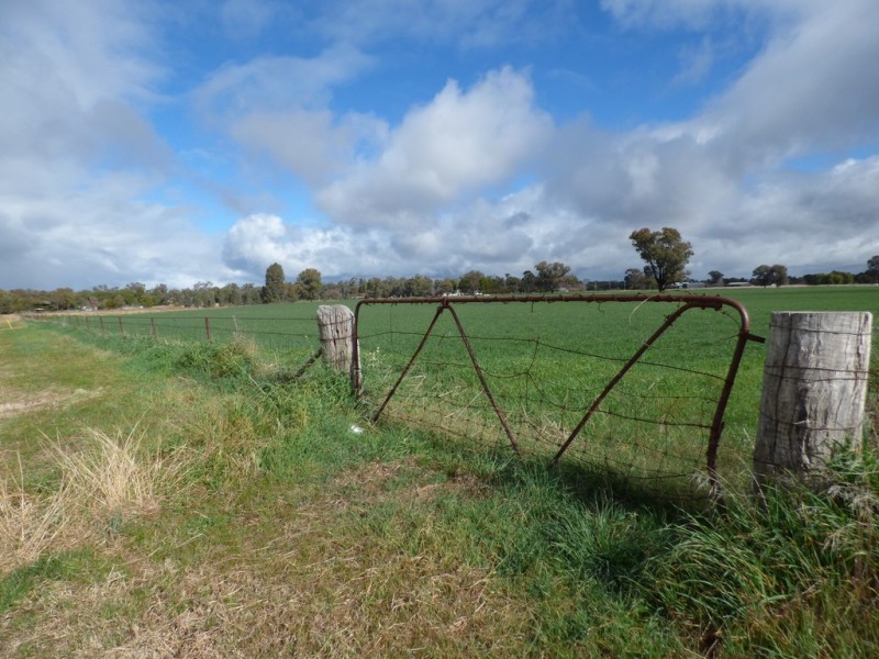 Corner River Road and Wambat Street, Forbes NSW 2871