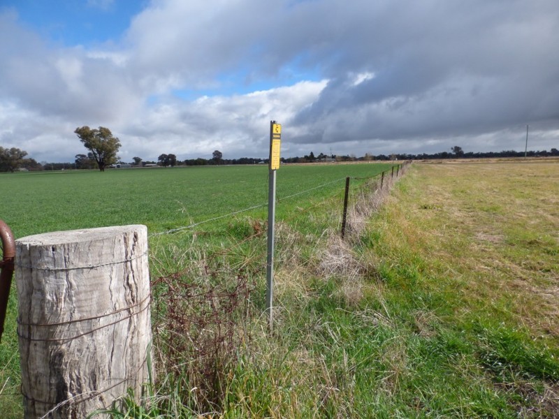 Corner River Road and Wambat Street, Forbes NSW 2871