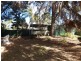 7 Park Avenue, Forbes NSW 2871