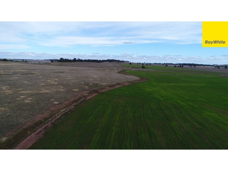 Lot 2 Allens Road, Forbes NSW 2871