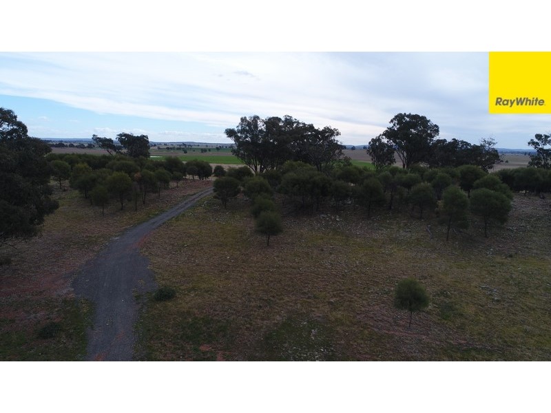Lot 2 Allens Road, Forbes NSW 2871