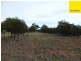 Lot 2 Allens Road, Forbes NSW 2871