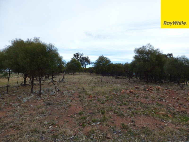 Lot 2 Allens Road, Forbes NSW 2871