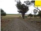 Lot 2 Allens Road, Forbes NSW 2871