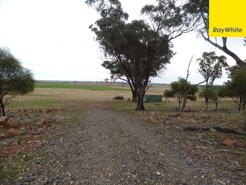 Lot 2 Allens Road, Forbes NSW 2871