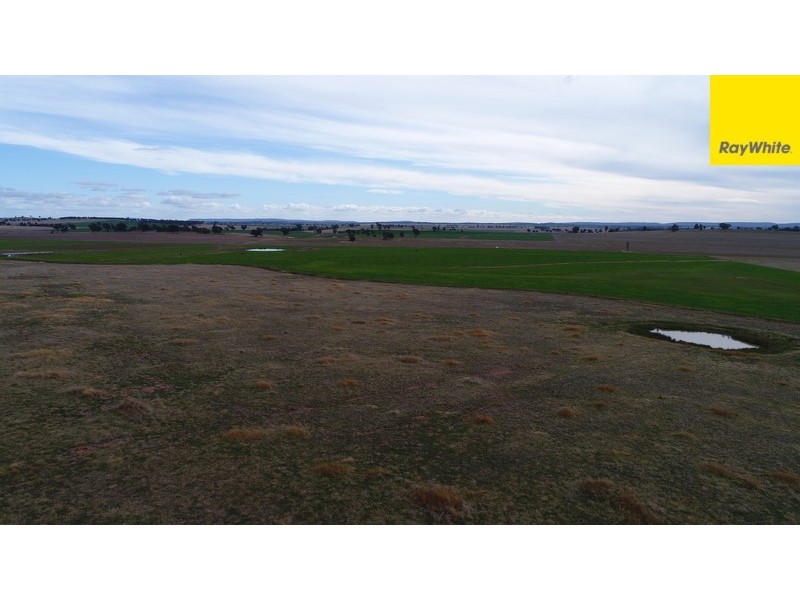 Lot 2 Allens Road, Forbes NSW 2871