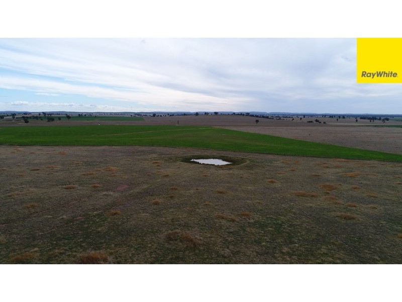 Lot 2 Allens Road, Forbes NSW 2871