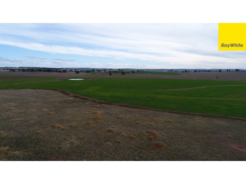 Lot 2 Allens Road, Forbes NSW 2871