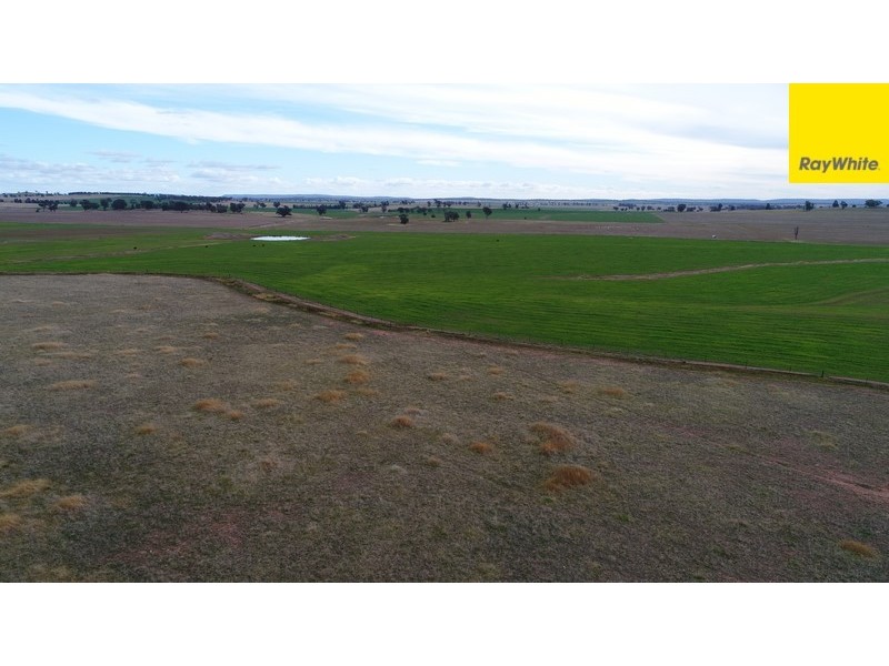 Lot 2 Allens Road, Forbes NSW 2871