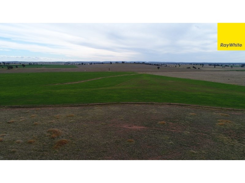 Lot 2 Allens Road, Forbes NSW 2871