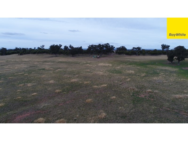 Lot 2 Allens Road, Forbes NSW 2871