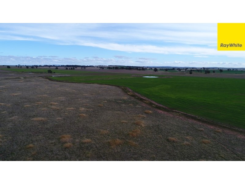 Lot 2 Allens Road, Forbes NSW 2871