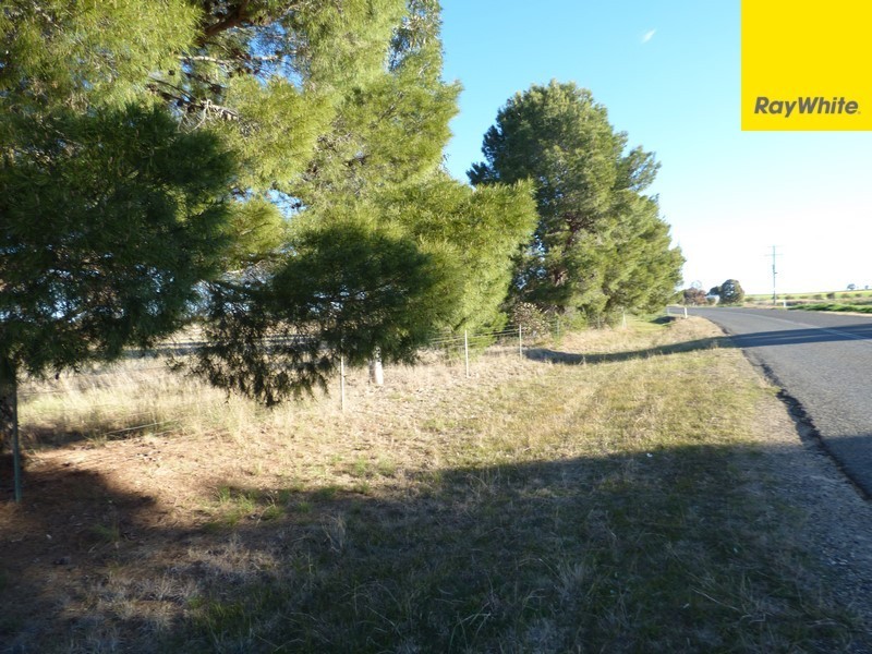 Lot 101 Calarie Road, Forbes NSW 2871