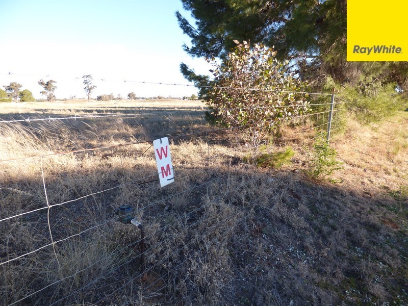 Lot 101 Calarie Road, Forbes NSW 2871