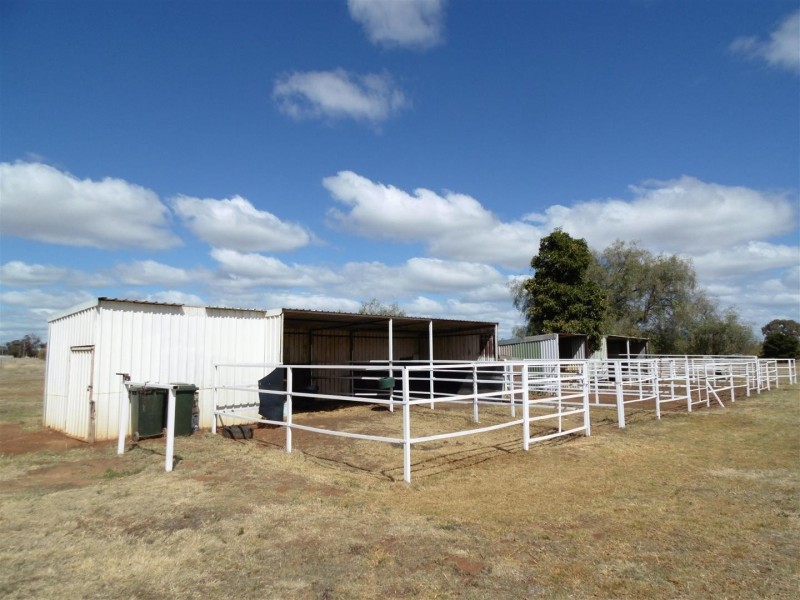 Lot 522 Ingalba Street, Peak Hill NSW 2869