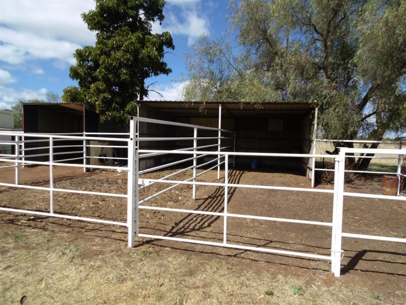 Lot 522 Ingalba Street, Peak Hill NSW 2869