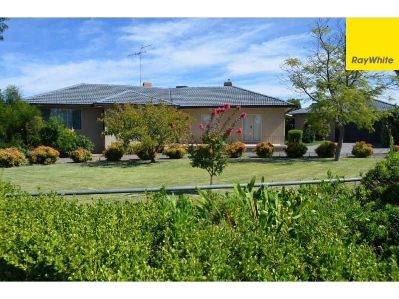 144 Farnell Street, Forbes NSW 2871