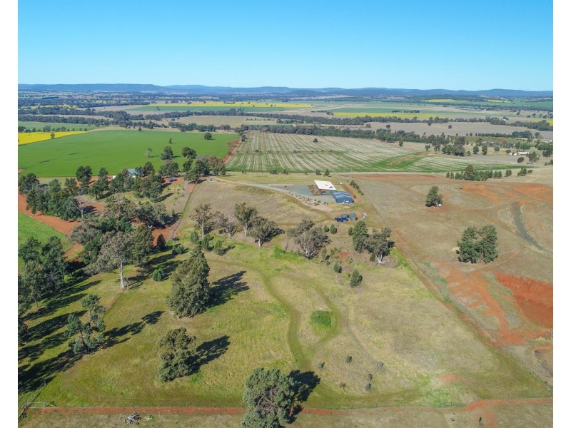 35 Cherry Gardens Lane, Parkes NSW 2870