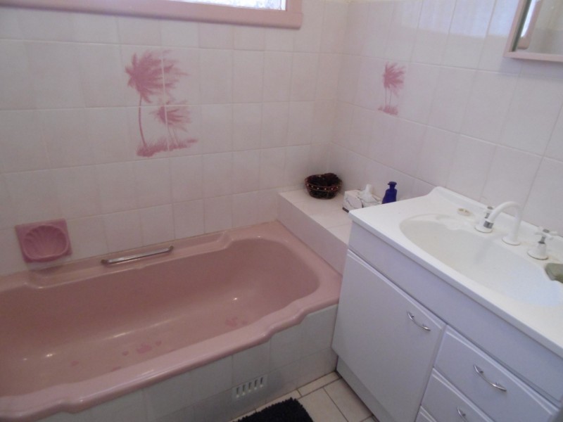 86 Euchie Street, Peak Hill NSW 2869