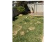 13 Koala Street, Parkes NSW 2870