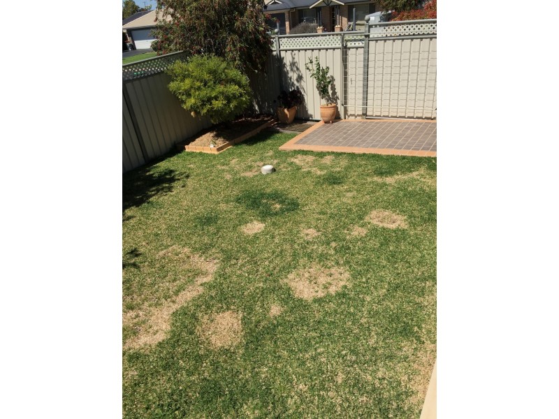 13 Koala Street, Parkes NSW 2870