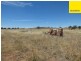 2 Alcheringa Drive, Forbes NSW 2871