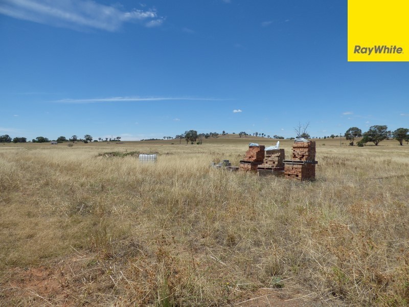 2 Alcheringa Drive, Forbes NSW 2871