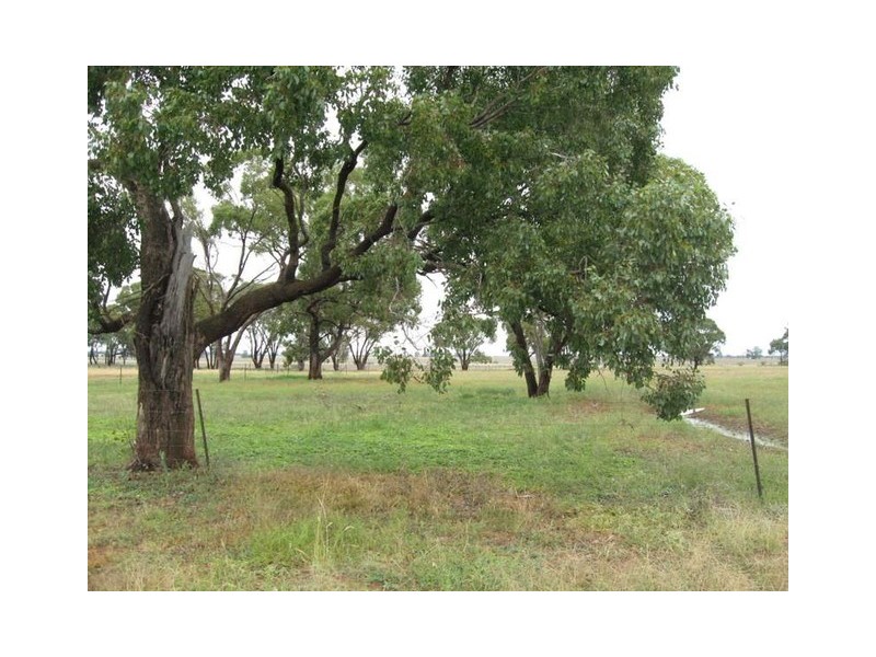 123 Railway Parade, Peak Hill NSW 2869