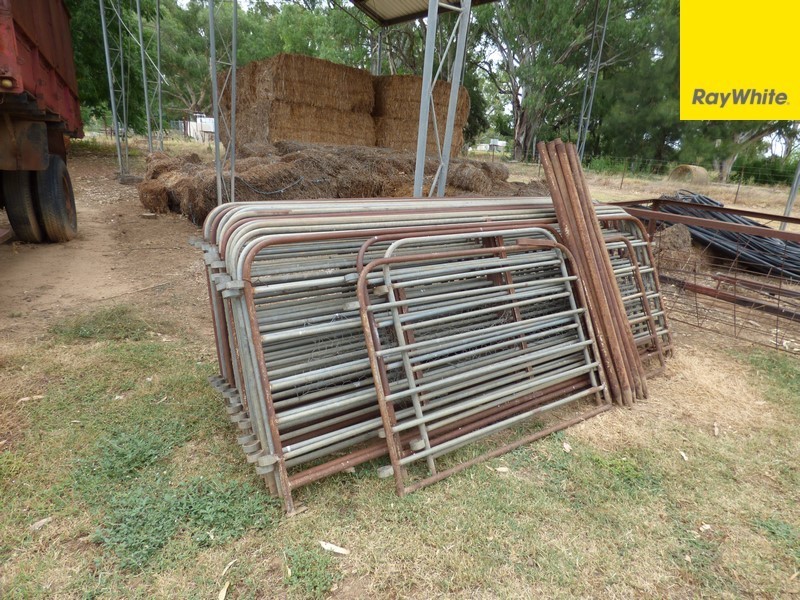 14 Riverview Lane, Forbes NSW 2871