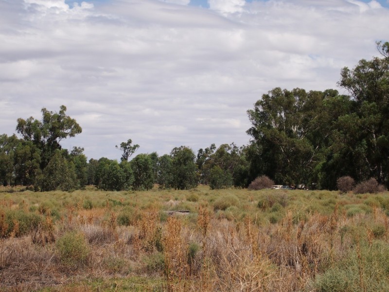 374 North Forbes Road, Condobolin NSW 2877