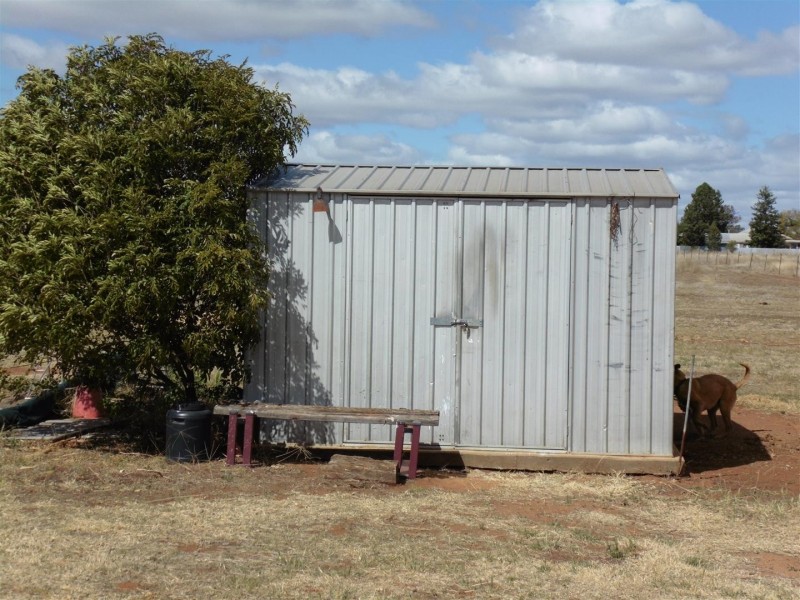 Lot 522 Ingalba Street, Peak Hill NSW 2869